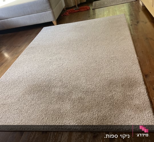 שטיח בהיר נקי הפרוס על רצפת עץ בבית הלקוח